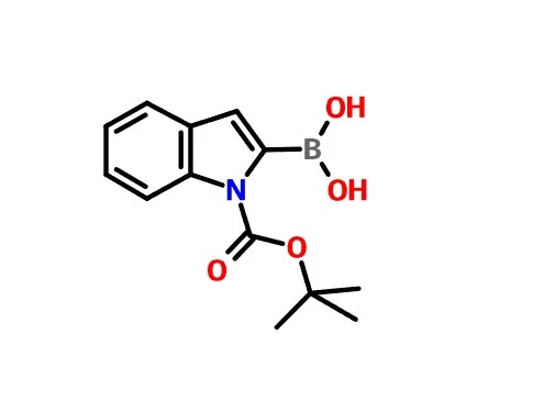 CAS 213318-44-6 N-Boc-indole-2-ácido borônico