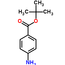 CAS:18144-47-3|Terc-Butil 4-aminobenzoato