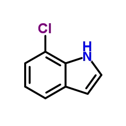 CAS:53924-05-3|7-Cloroindole