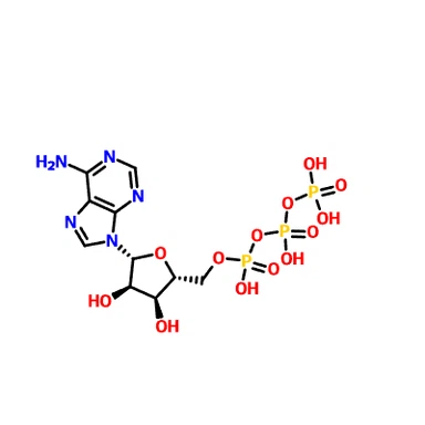 CAS: 56-65-5 Trifosfato de adenosina