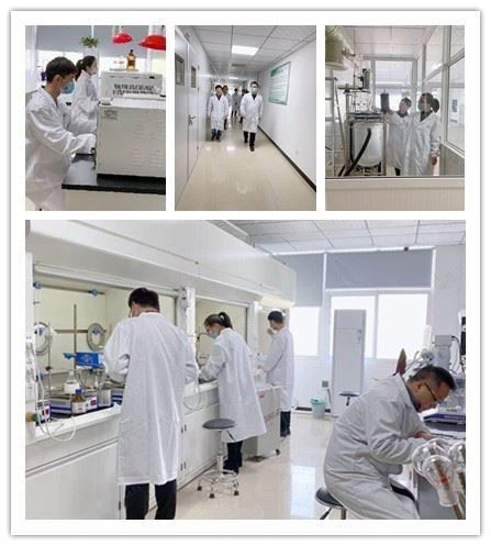 CAS:677718-82-0丨Diquinoxalino[2,3-a:2',3'-c]phenazine-2,3,8,9,14,15-hexol